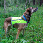 Axaeco Trapper Vest, käännettävä huomioliivi