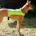 Axaeco Trapper Vest, käännettävä huomioliivi