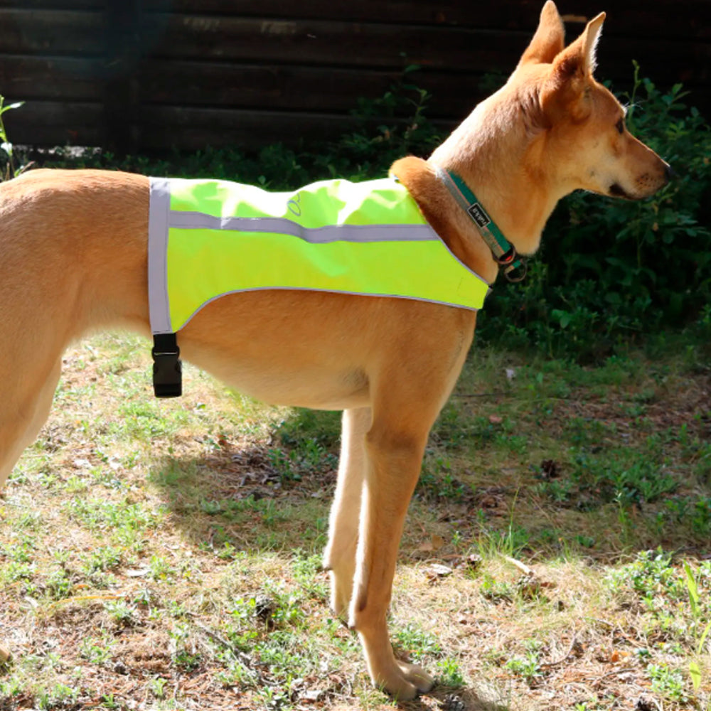 Axaeco Trapper Vest, käännettävä huomioliivi
