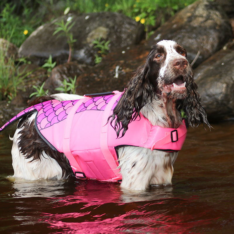 Boogie Koiran pelastusliivi Merenneito