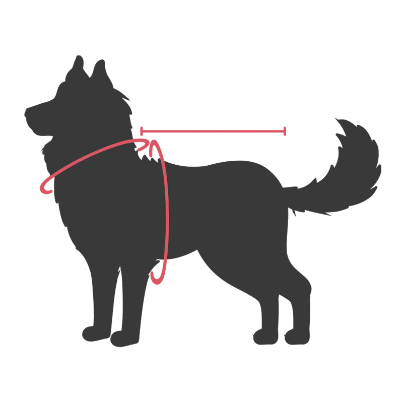 Boogie Koiran pelastusliivi Merenneito