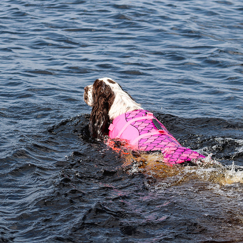 Boogie Koiran pelastusliivi Merenneito