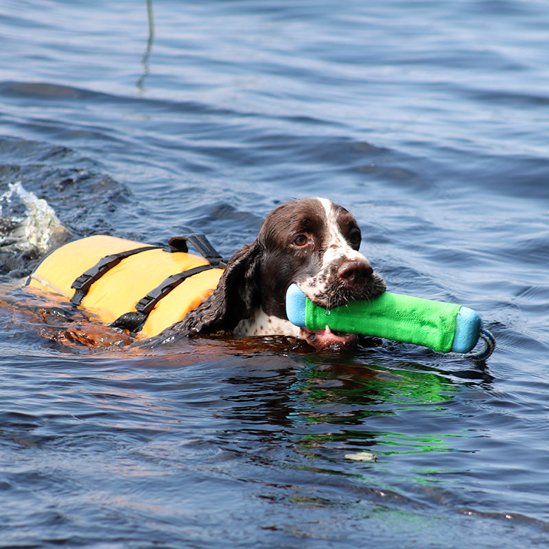Boogie Koiran pelastusliivi Tyrsky