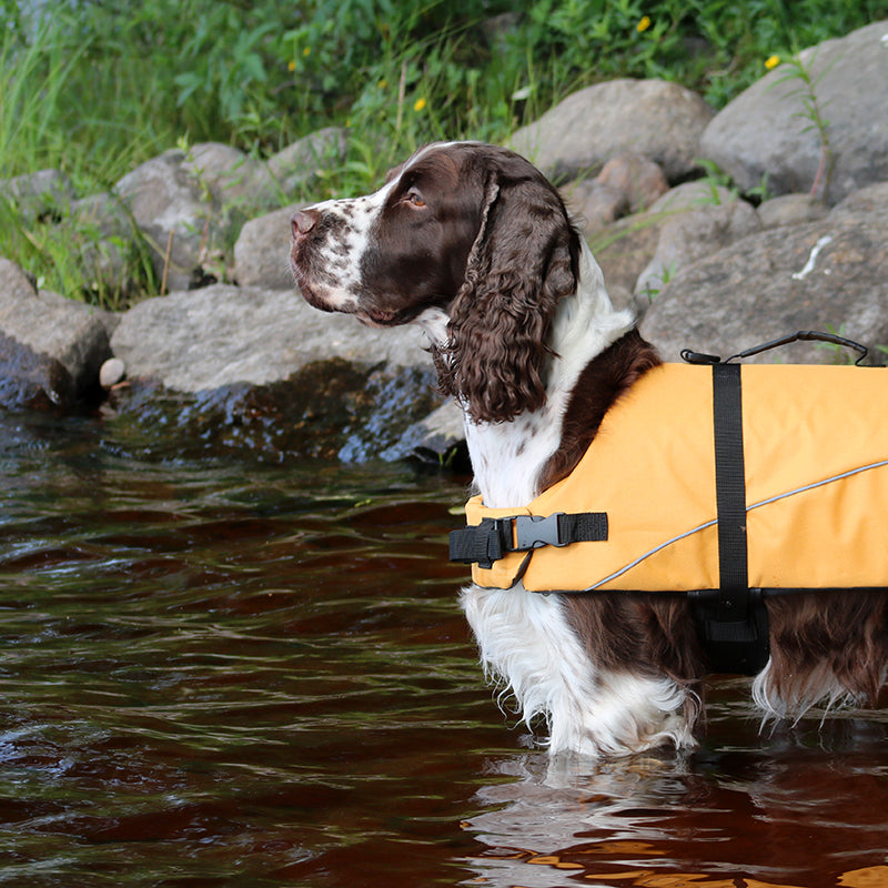 Boogie Koiran pelastusliivi Tyrsky