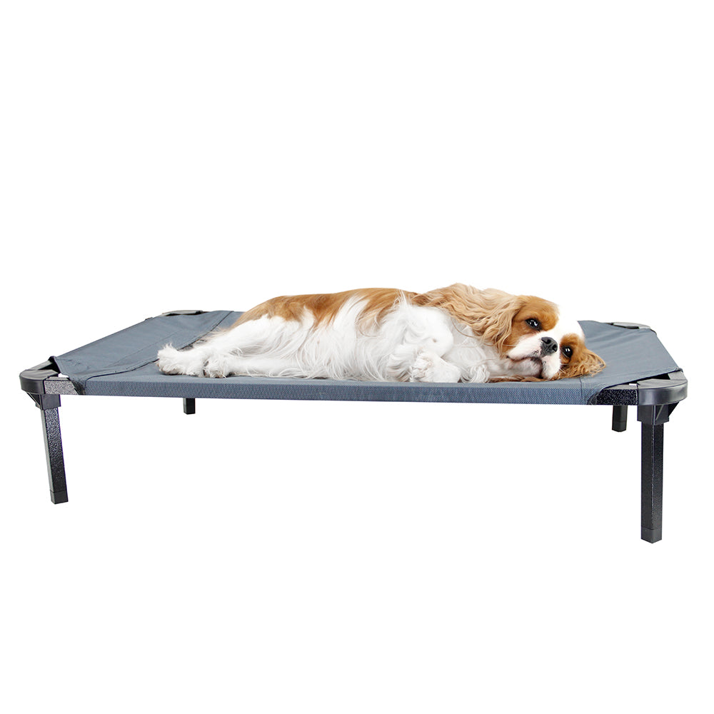 Brava Dog Cot, koiran hetekapeti