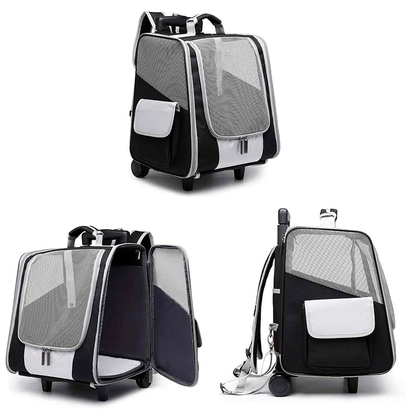 POISTUVA TUOTE Brava Vedettävä kuljetusreppu lemmikille, värilajitelma