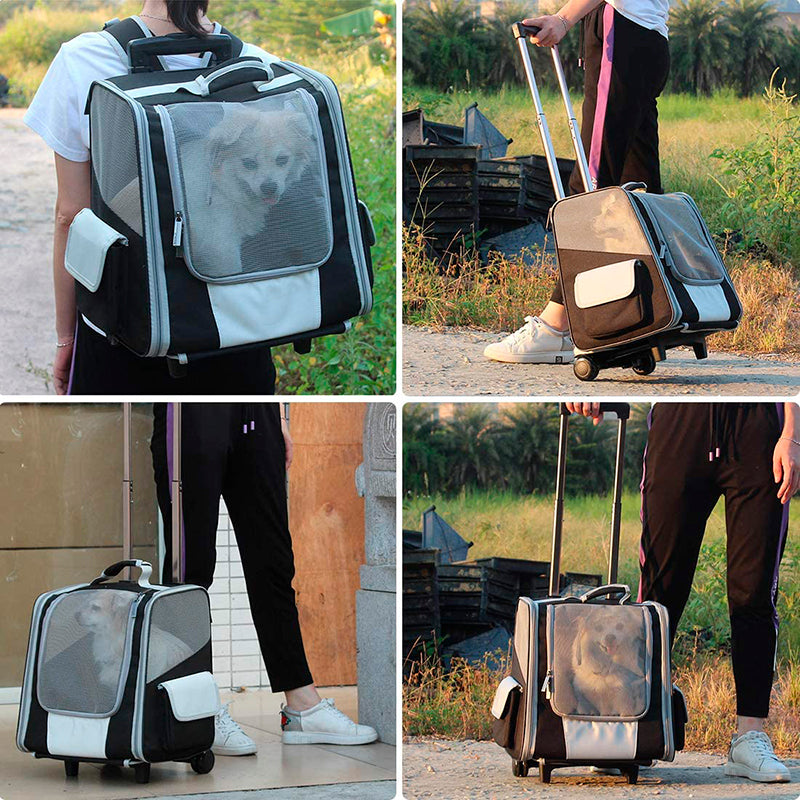 POISTUVA TUOTE Brava Vedettävä kuljetusreppu lemmikille, värilajitelma