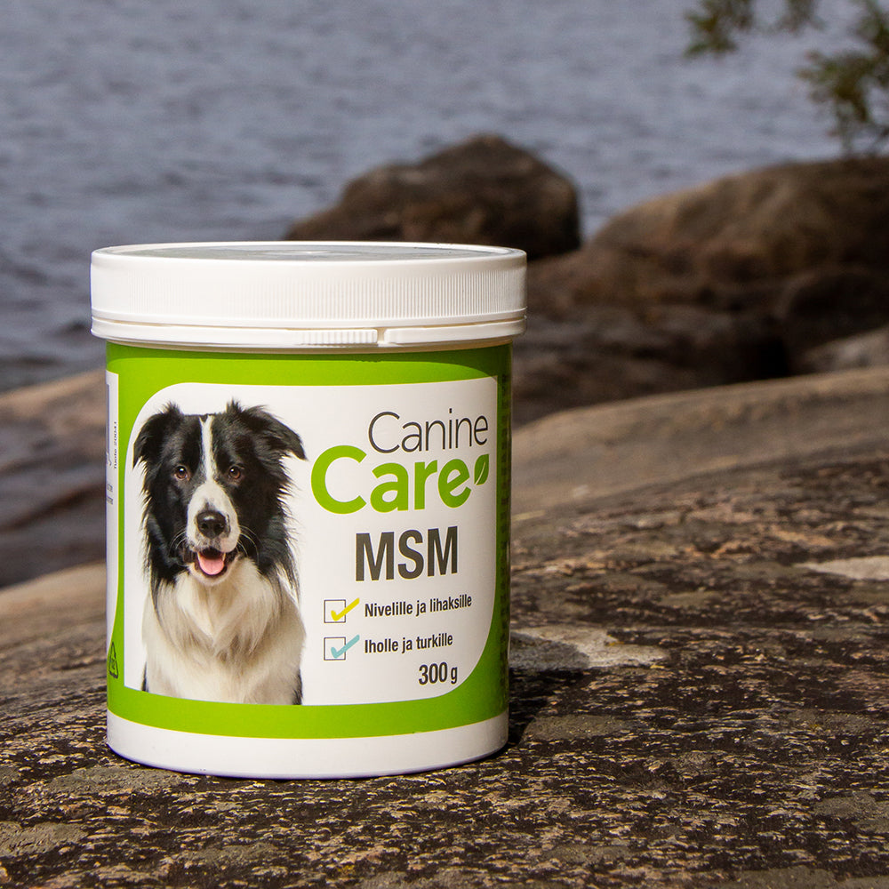 CanineCare MSM, 300 g