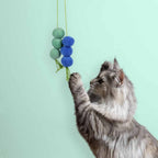 Cookcoo Dizzy Dangle -kissanlelu