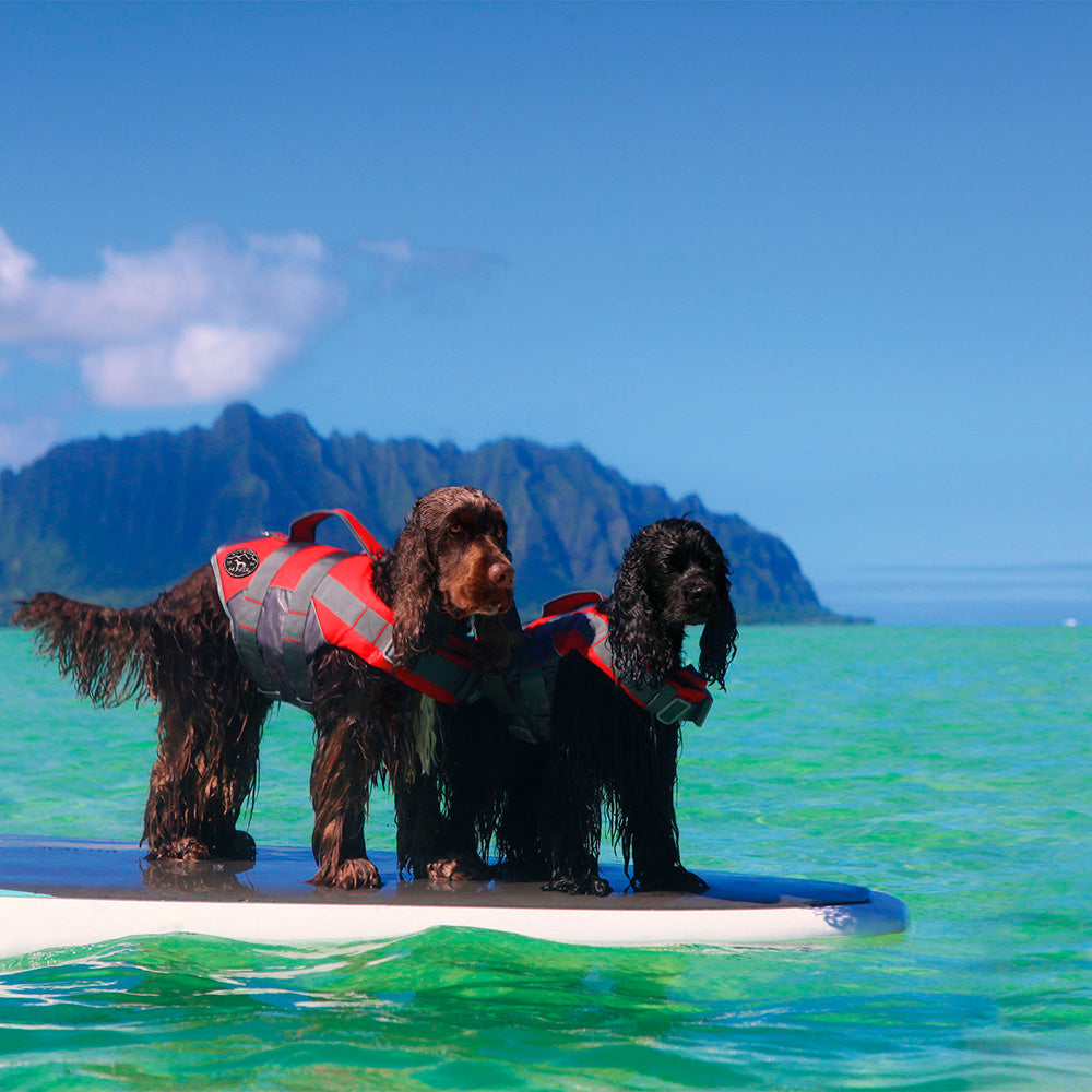 Hunter Koiran Pelastusliivi