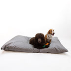 Hunter koiranpeti Lancaster 175 x 145 cm