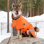 Kivalo koiran takki Ohto