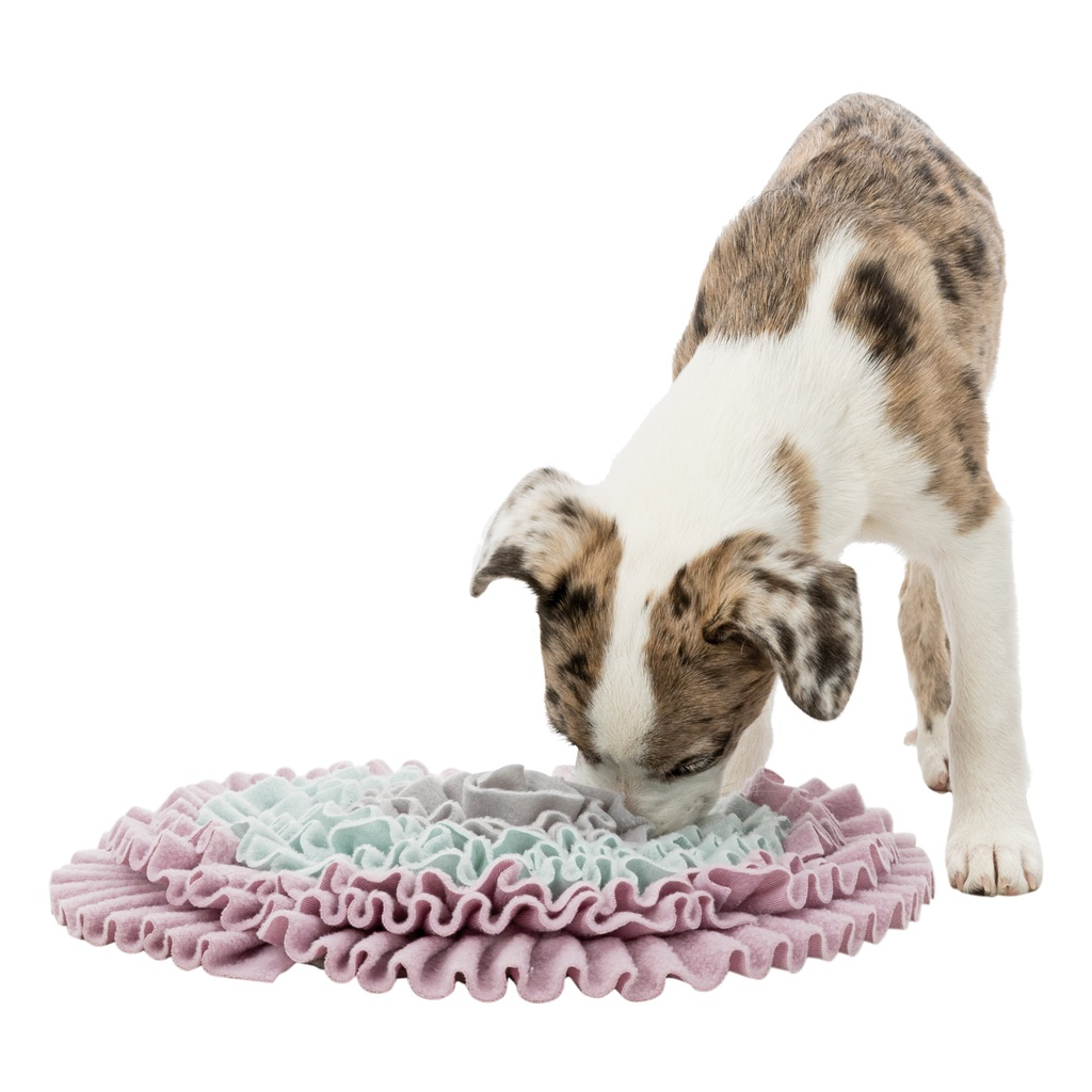 Trixie Junior Aktivointimatto koiranpennulle 38cm
