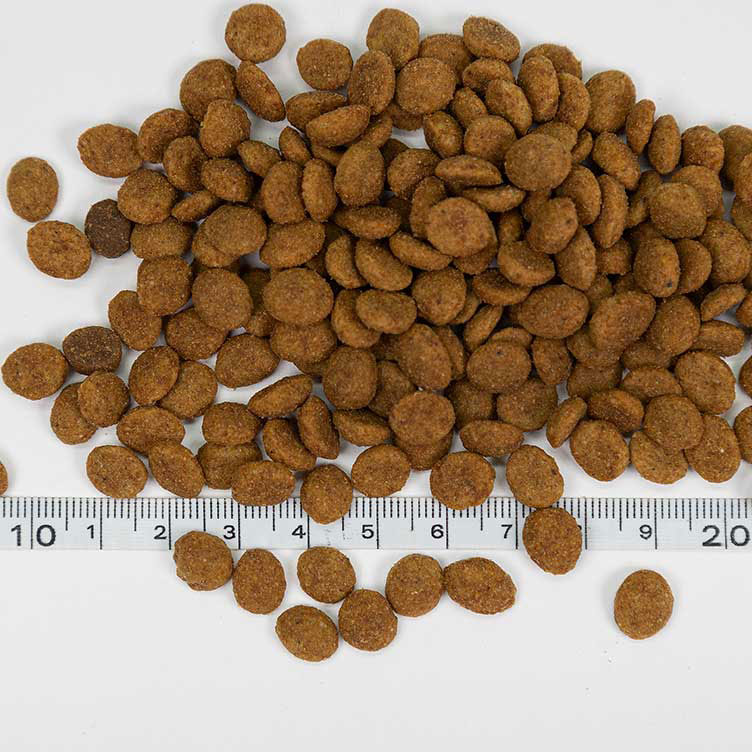 Kotikissa Sissi, täysravinto kissoille, 1,4 kg
