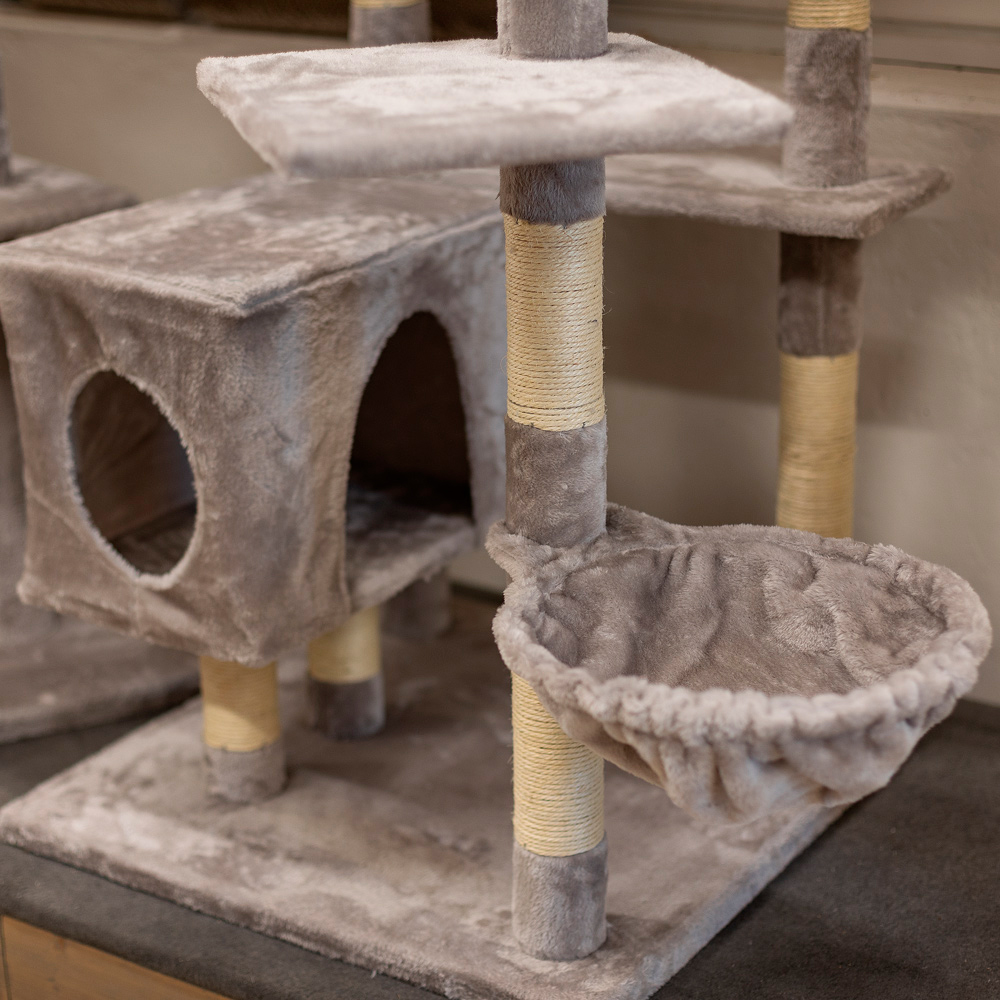 Boogie Kissan kiipeilypuu Colosseum