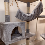 Boogie Kissan kiipeilypuu Colosseum