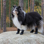 Kivalo Koiran tossu, Polku, harmaa