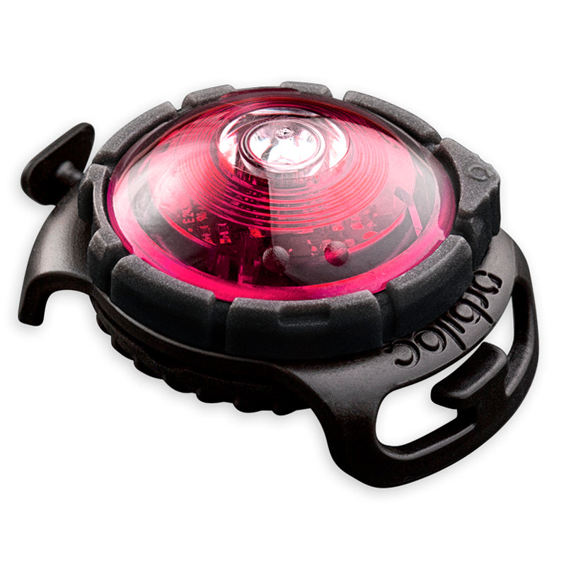 Orbiloc Dual Turvavalo, Pinkki