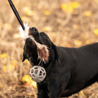 Ozami Play-n-Tug karvapatukka pallolla 65 cm