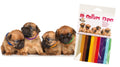 Transgroom Koiranpentujen merkkauspannat 4Pups, 12 kpl