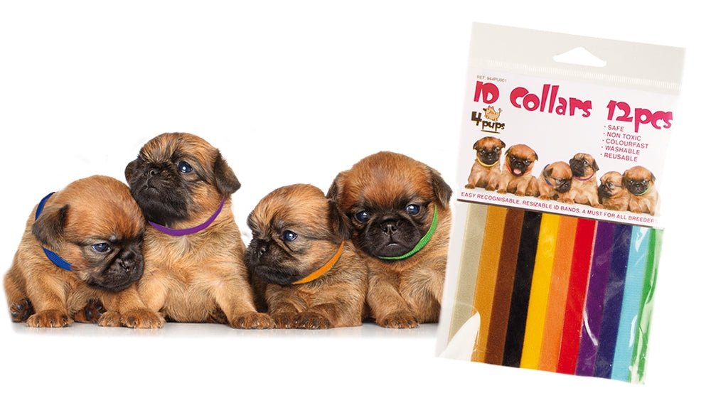Transgroom Koiranpentujen merkkauspannat 4Pups, 12 kpl