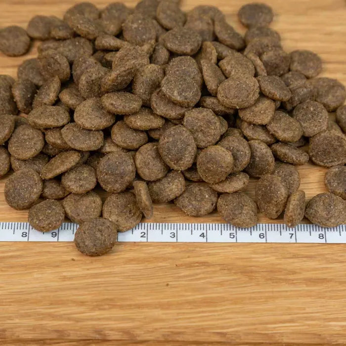 Dagsmark HÄME vehnätön kala-kaura 10 kg