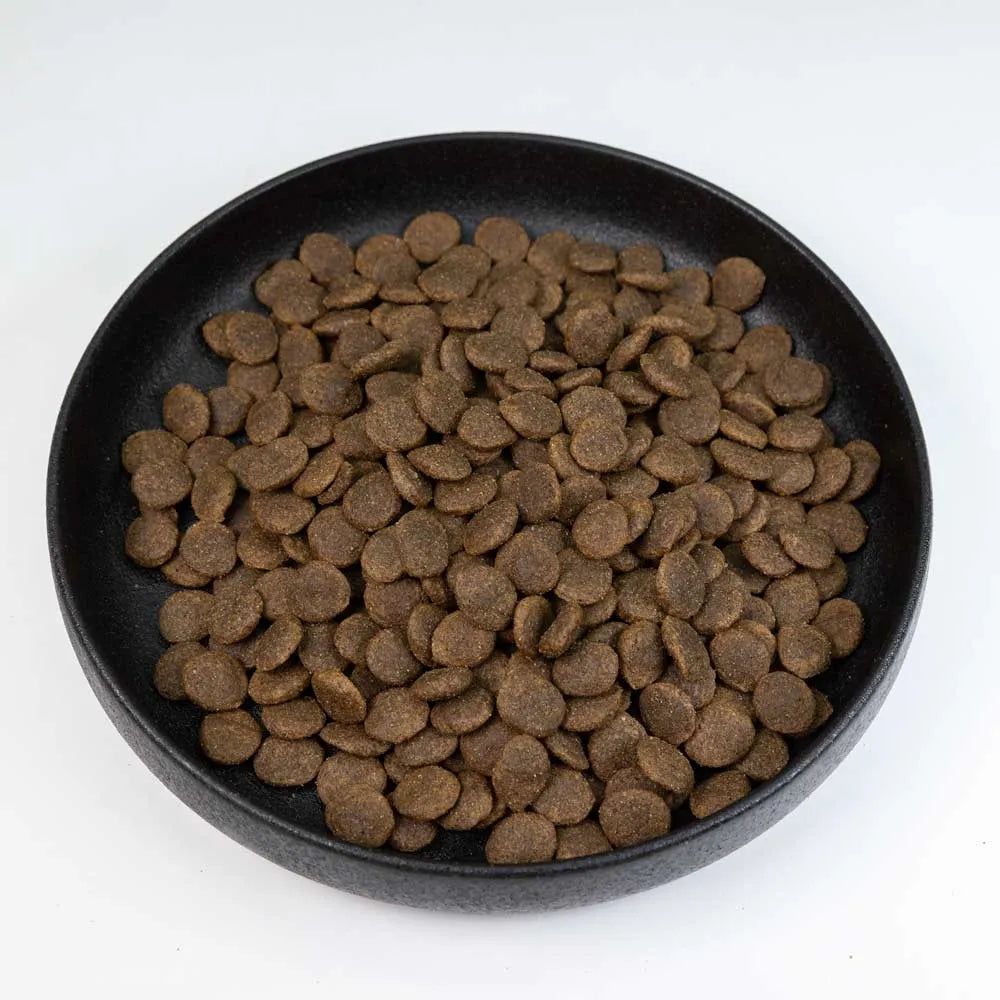Dagsmark SAVO vehnätön kana-kaura 10 kg ‌‌