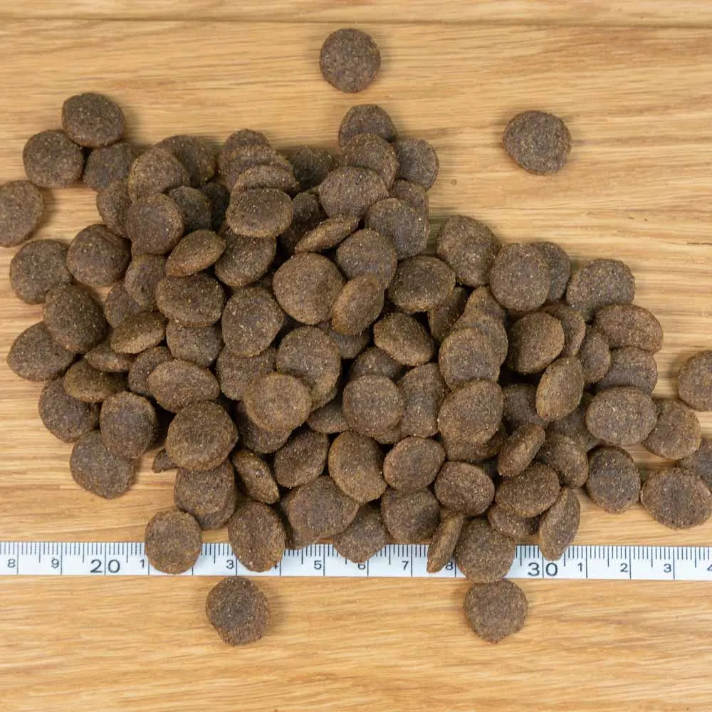 Dagsmark SAVO vehnätön kana-kaura 10 kg ‌‌